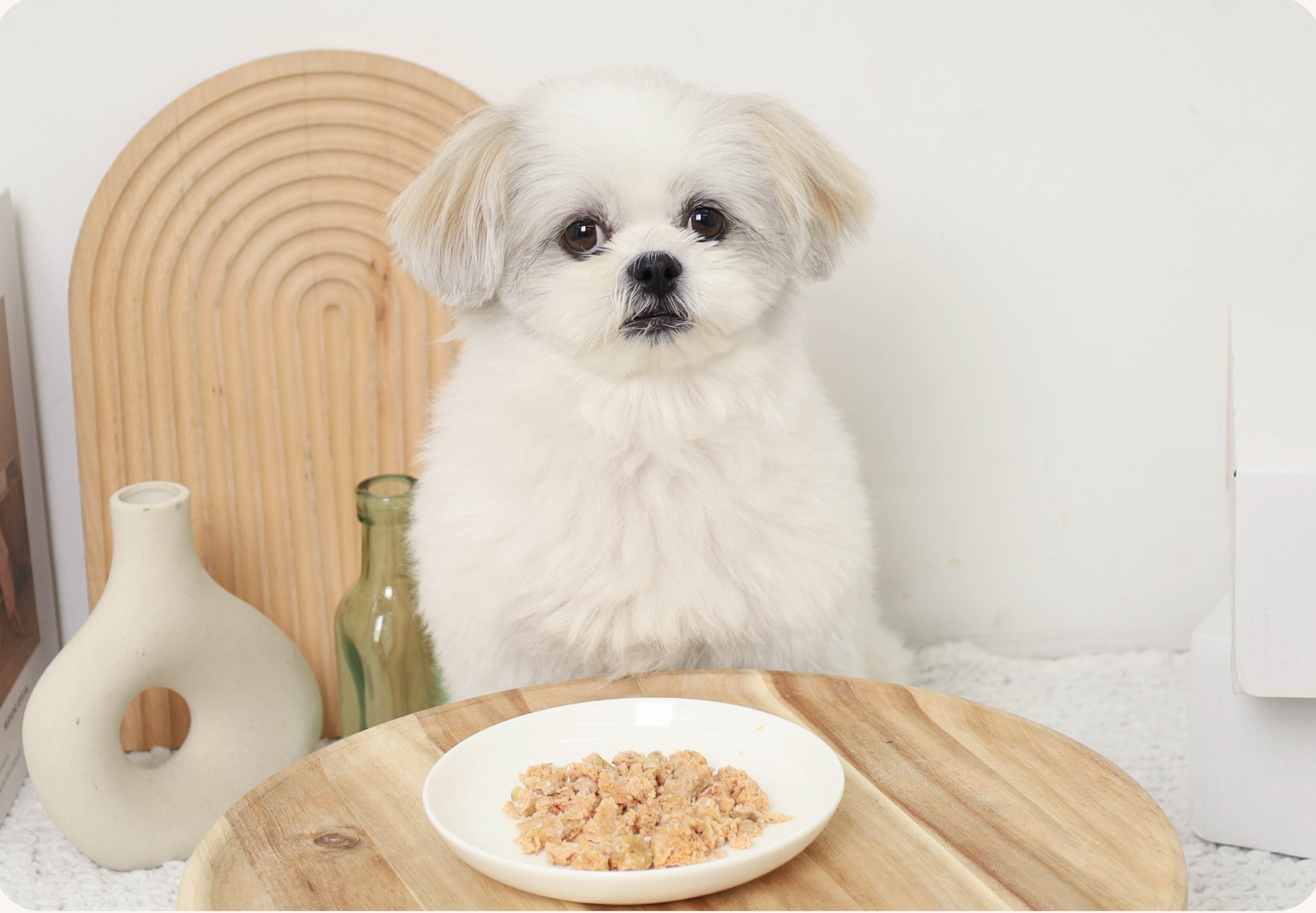 林先生ブログ / 春の食欲ムラどうする?季節の変わり目のごはん見直しポイント