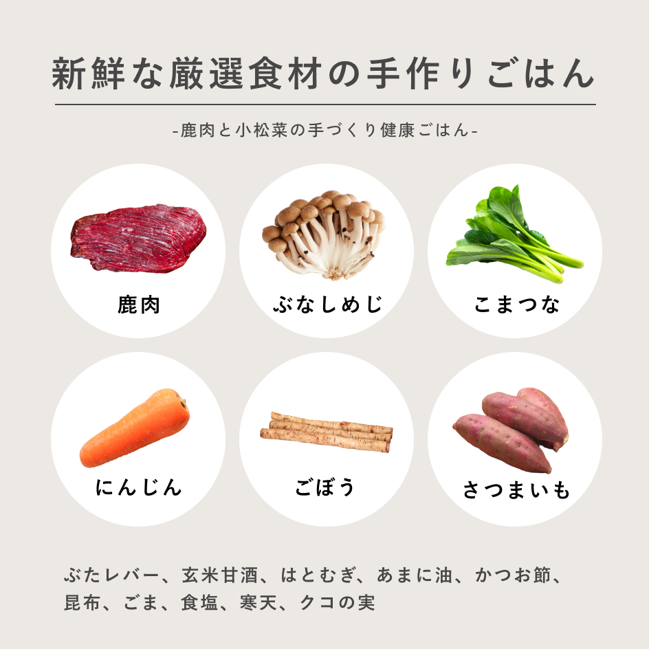 鹿肉と小松菜の手づくり健康ごはん