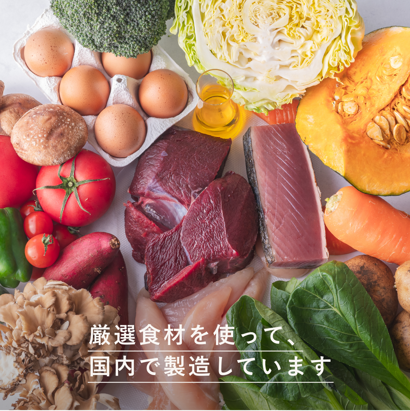 【初回/特別価格】お試しセット