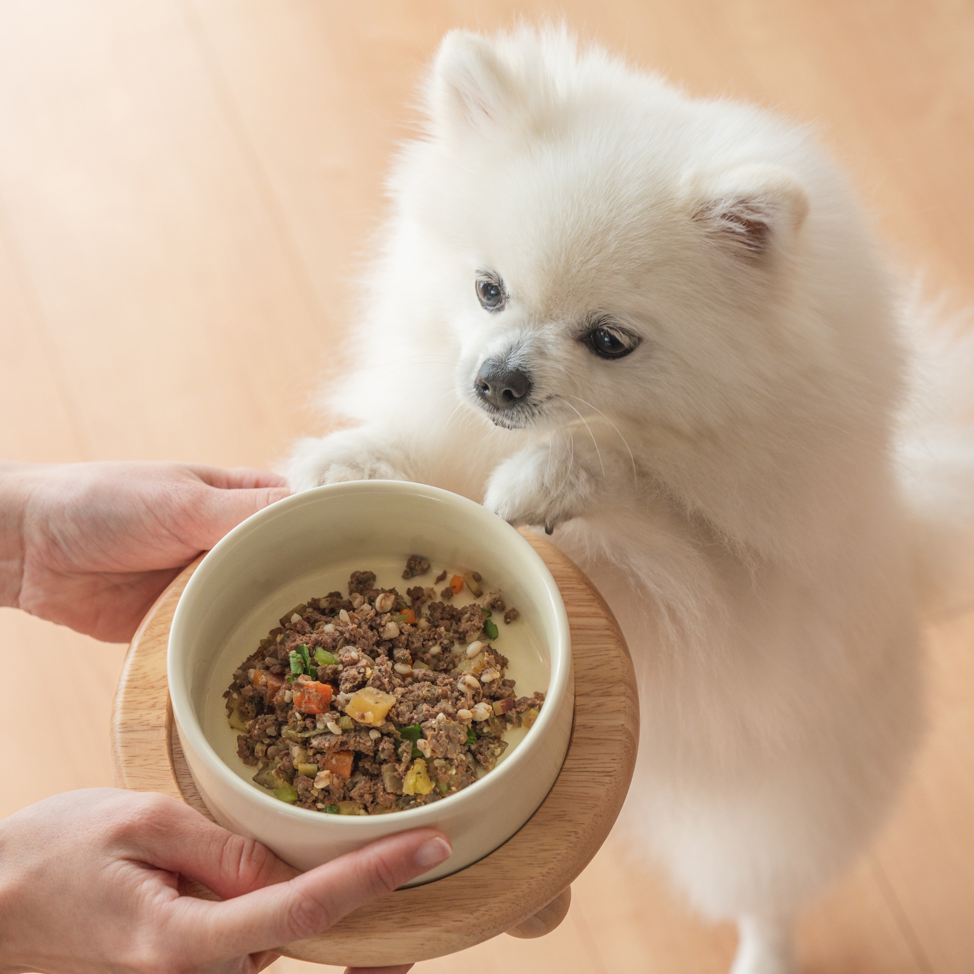 鹿肉と小松菜の手づくり健康ごはん