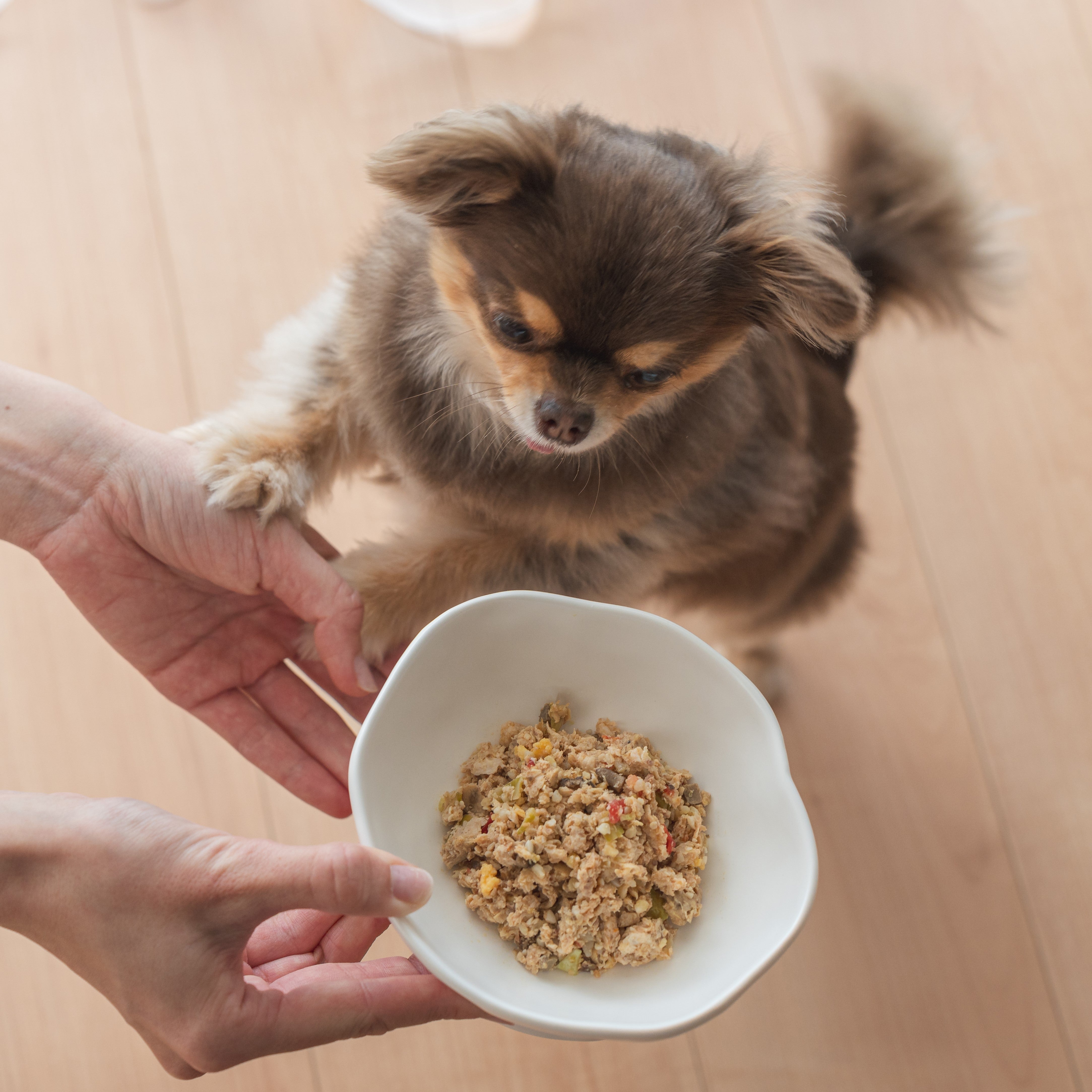 鶏肉とキャベツの手づくり健康ごはん