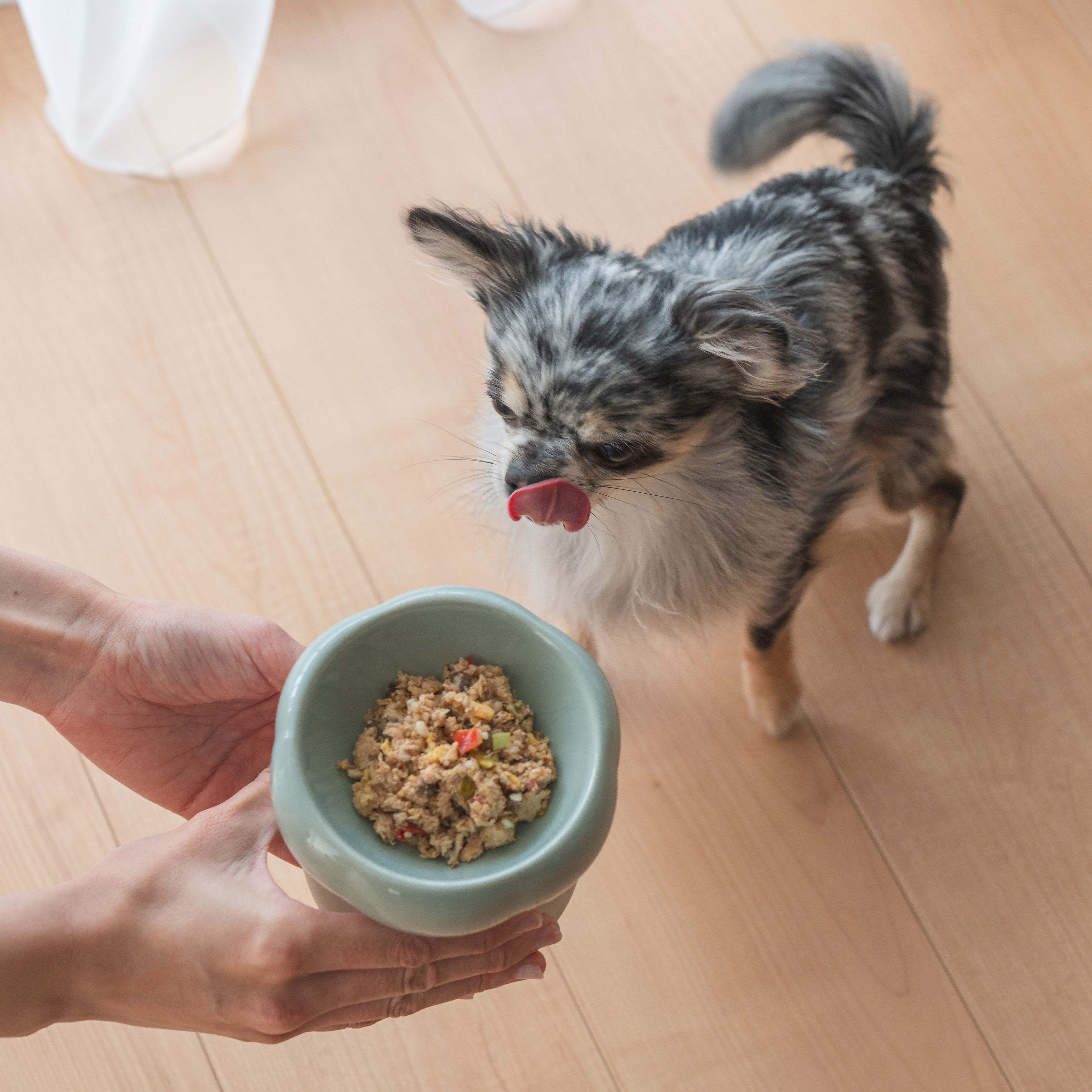 鰹とブロッコリーの手づくり健康ごはん