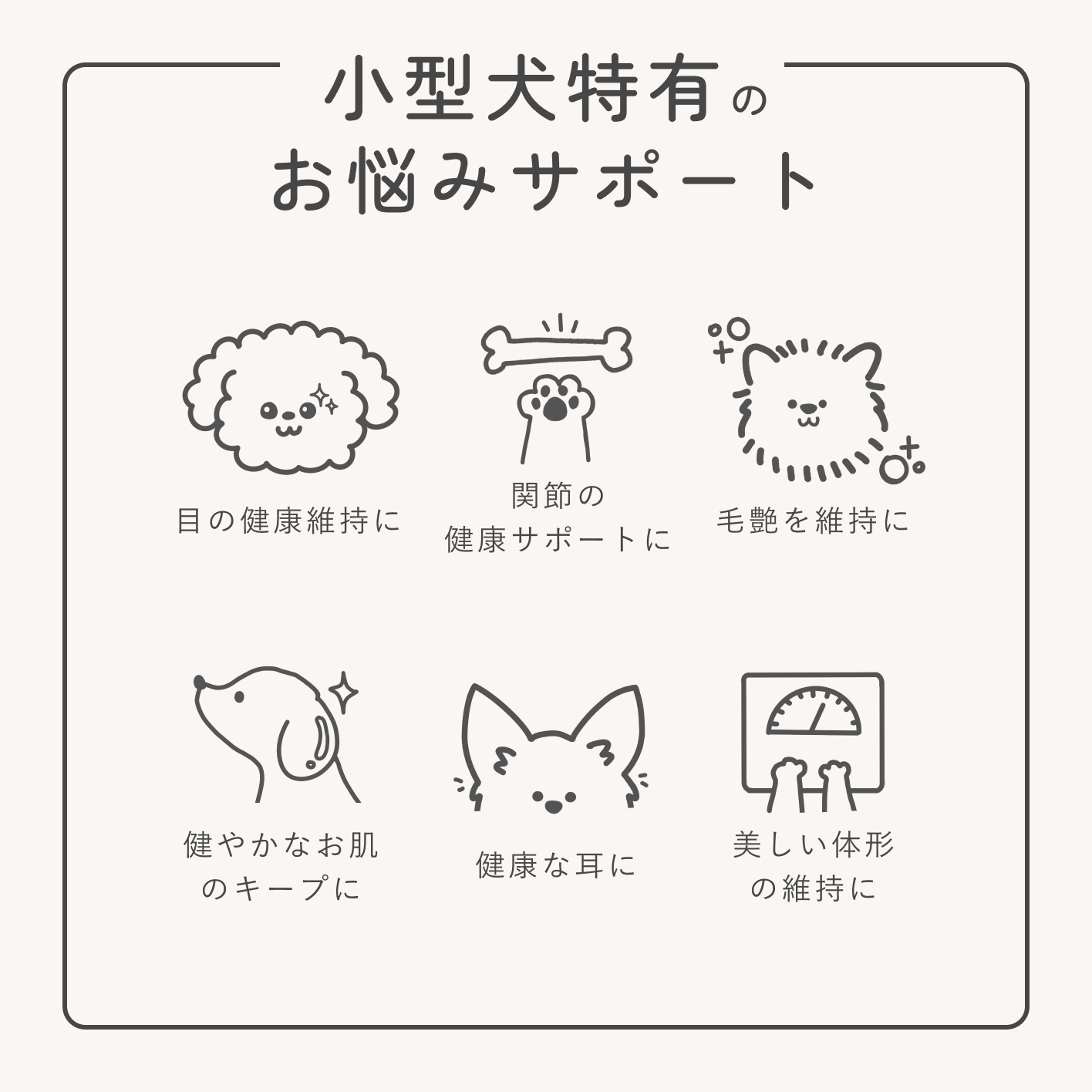 【初回/特別価格】お試しセット