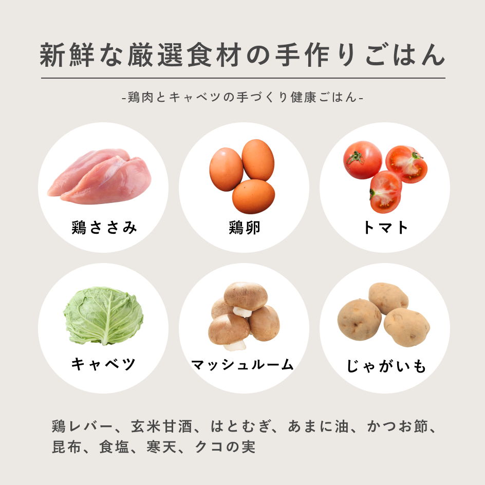 鶏肉とキャベツの手づくり健康ごはん