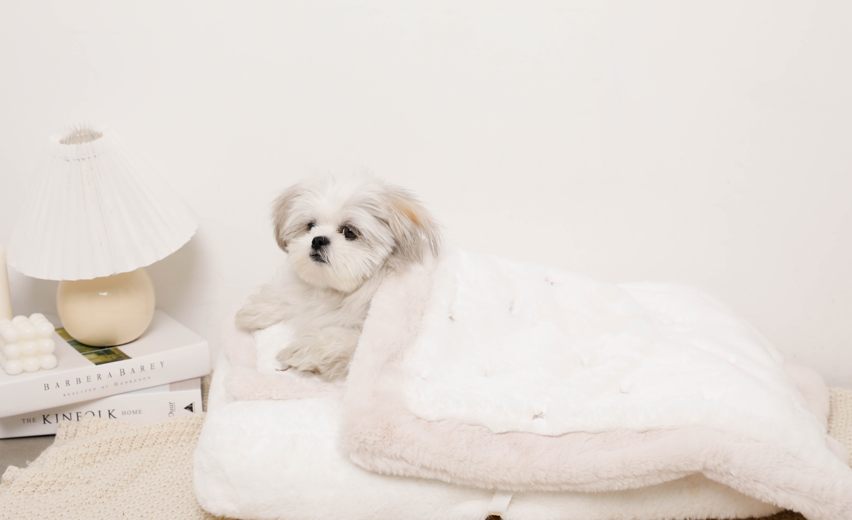 林先生ブログ / 【ワンちゃんの寒い時期のごはんと過ごし方】