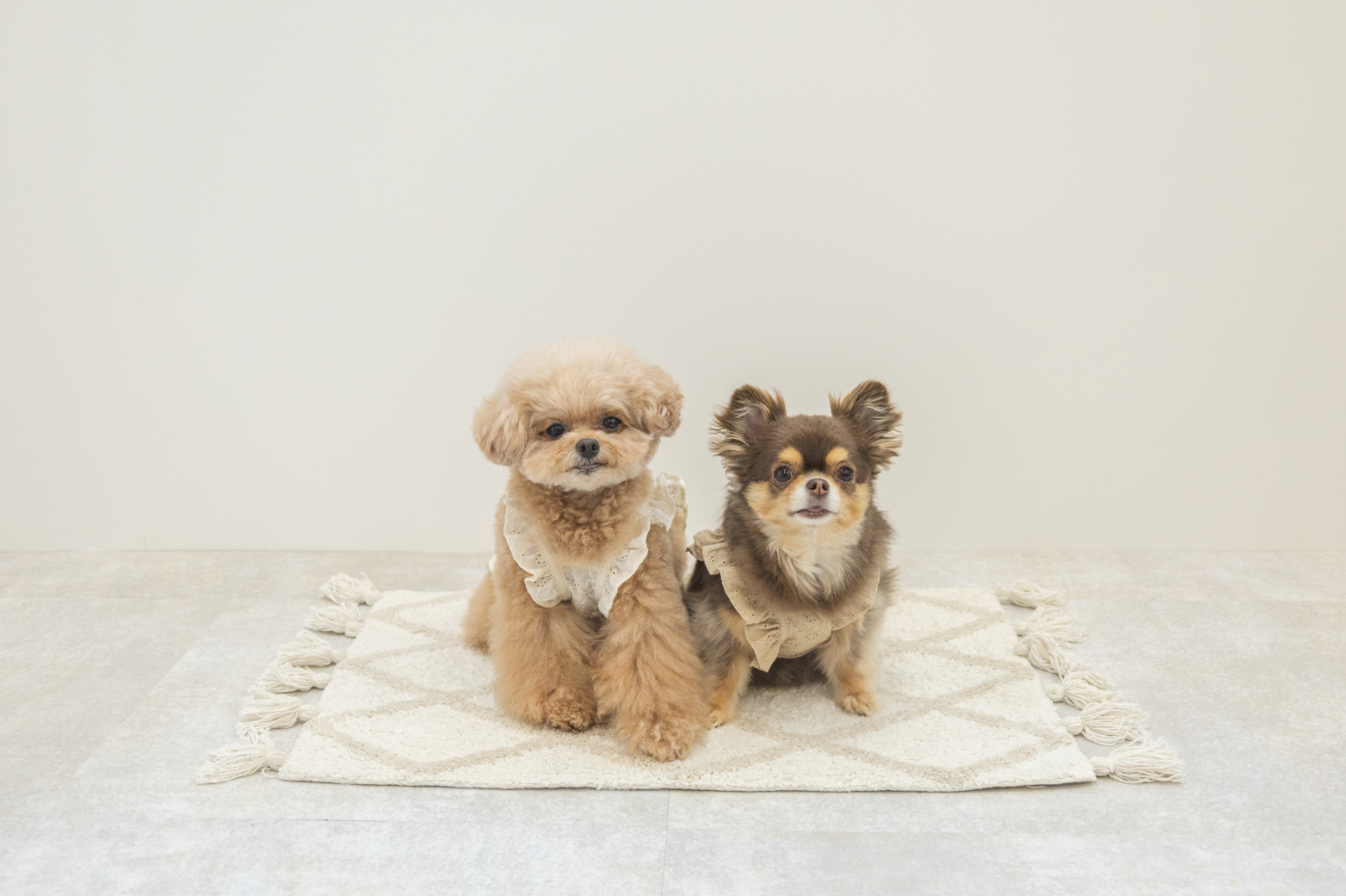 林先生ブログ / 季節の変わり目に注意!3月に気を付けたい健康管理