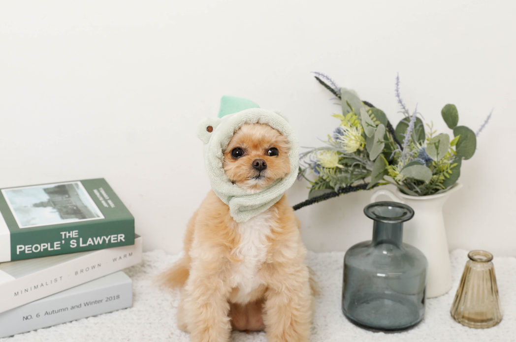 林先生ブログ / 梅雨に取り入れたい健康ケア