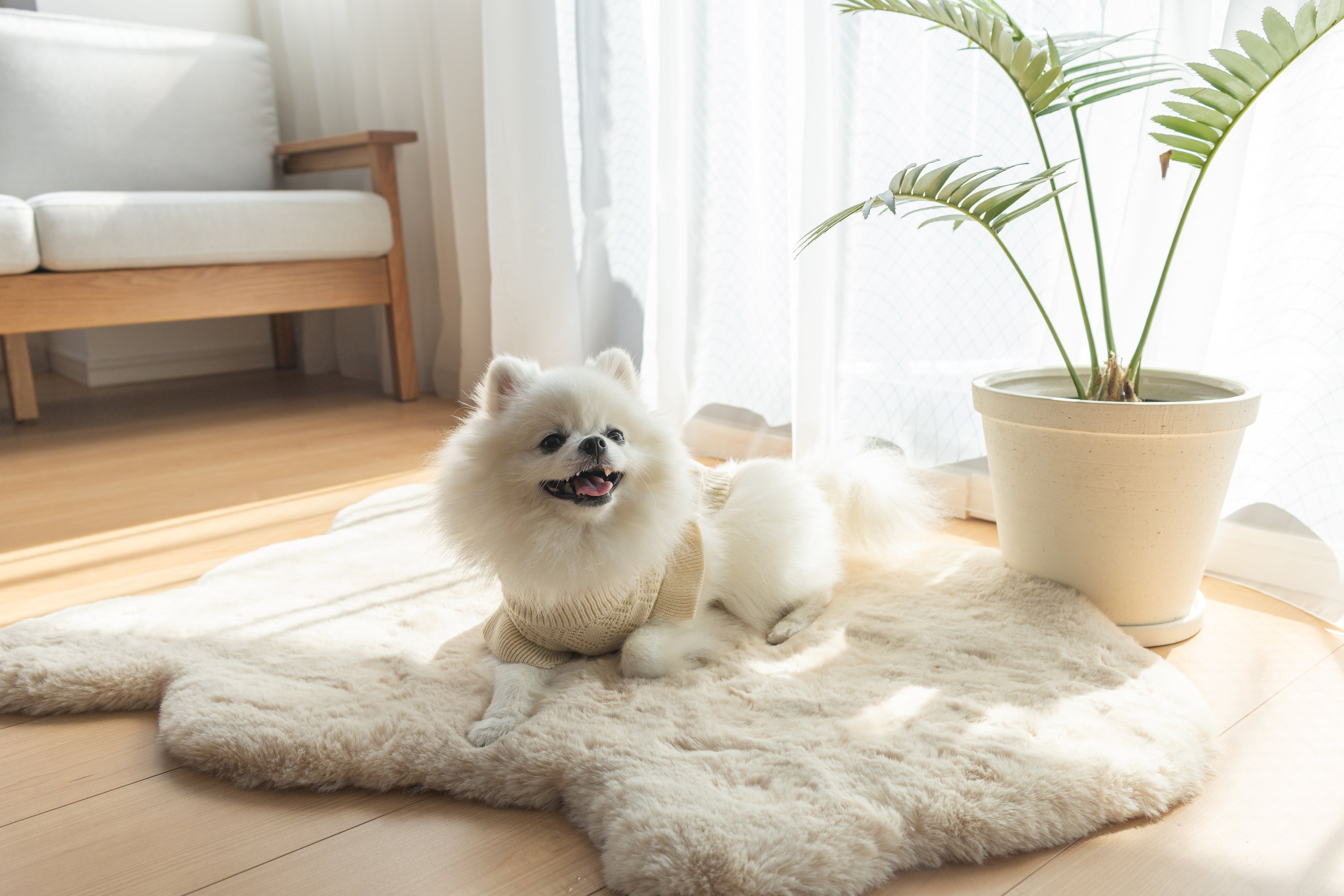 林先生ブログ / うちの子って暑がり?寒がり?体質にあった食事について vol.1