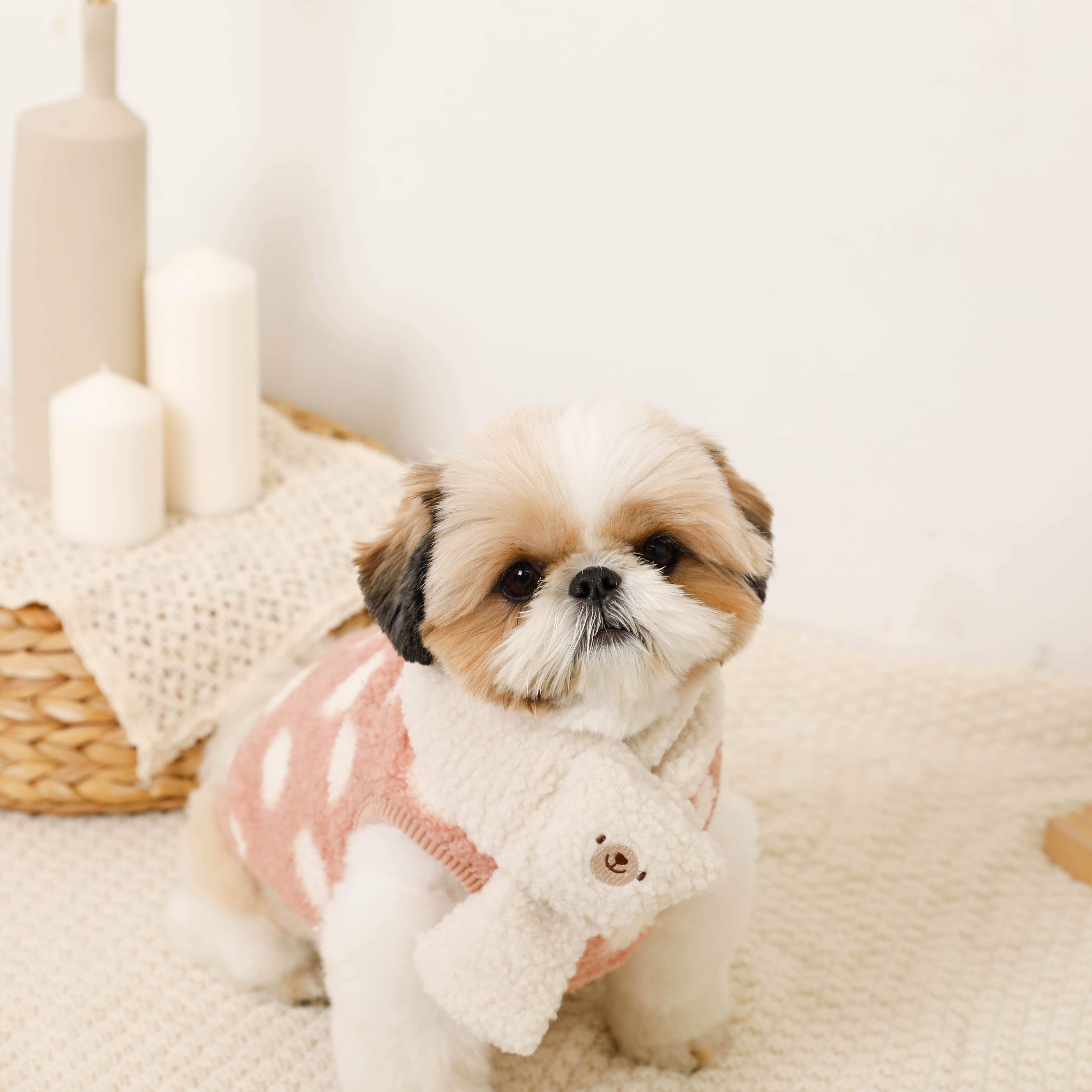 林先生ブログ / 冬の健康管理ポイント