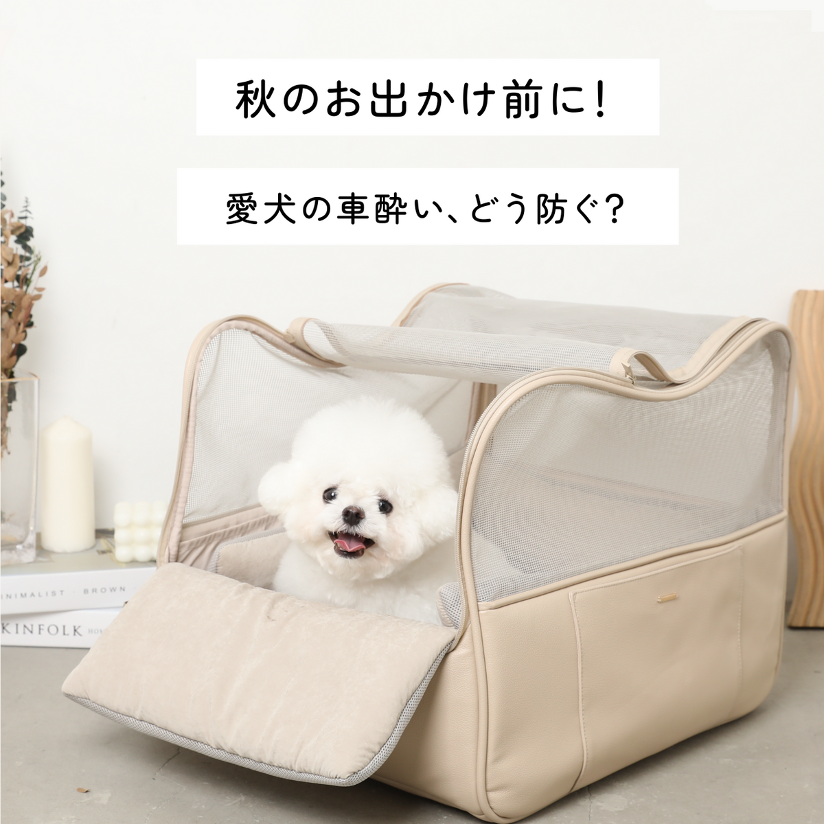 石川先生ノート / 【秋のお出かけ前に】愛犬の車酔い、どう防ぐ？